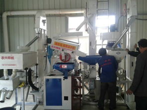 批發供應廠家直銷組合碾米機成套設備 價格、圖片與技術服務詳解